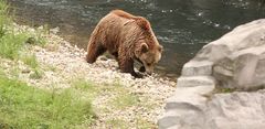 Ich bin zwar nicht Knut aber trotzdem schön!!!