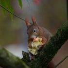 Ich brauche auch Vitamine