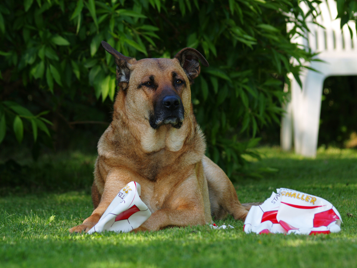 ich brauche einen neuen Ball