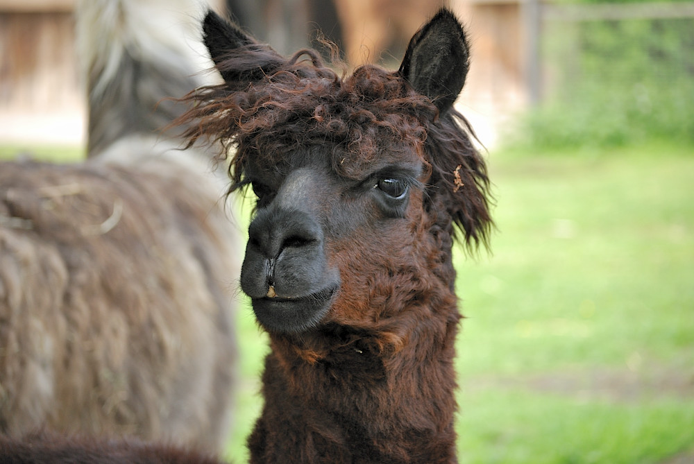 Ich brauche keine neue Frisur...