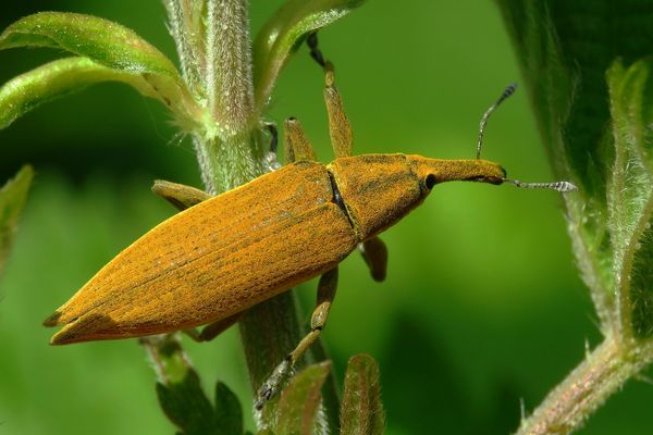 Ich brauche was mit Sonne