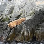 ich chill mal