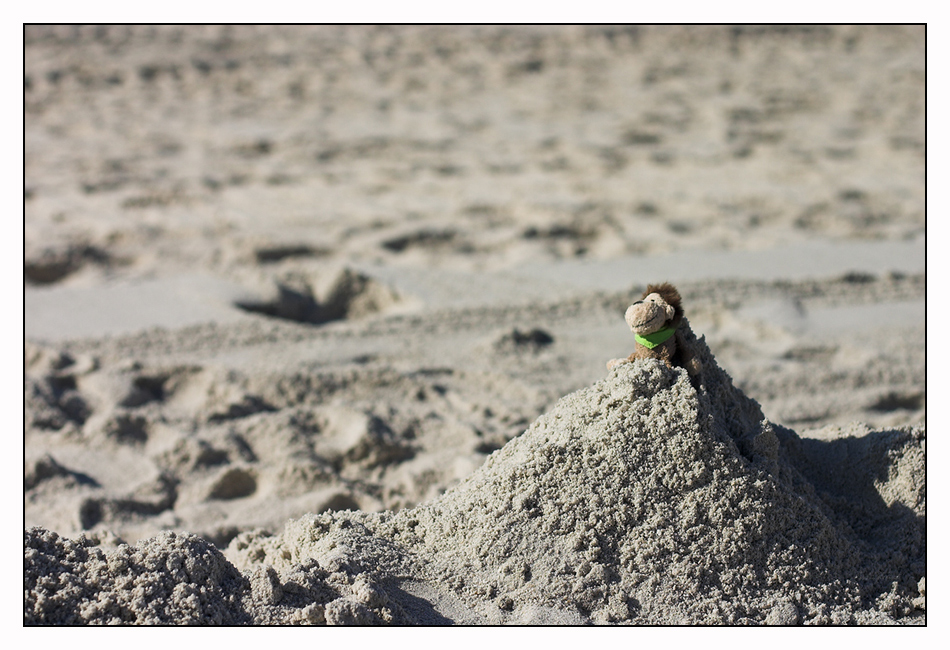 Ich, der Stranderoberer