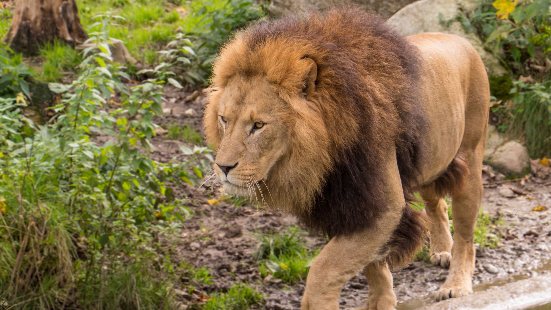 Ich drehe schon seit Stunden... Foto
