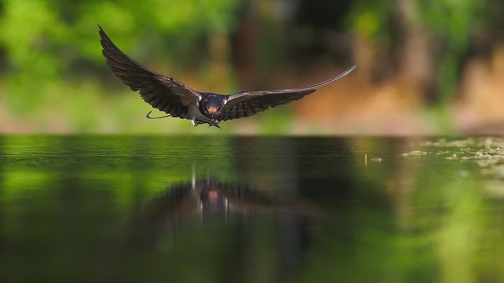 Ich fand mehr, als nötig