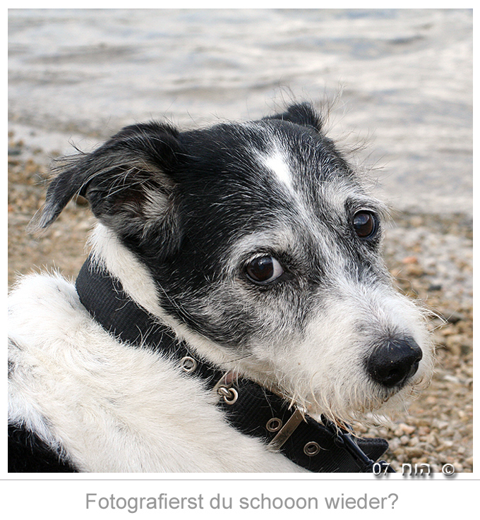 Ich fasse es nicht! Sie fotografiert schon wieder!