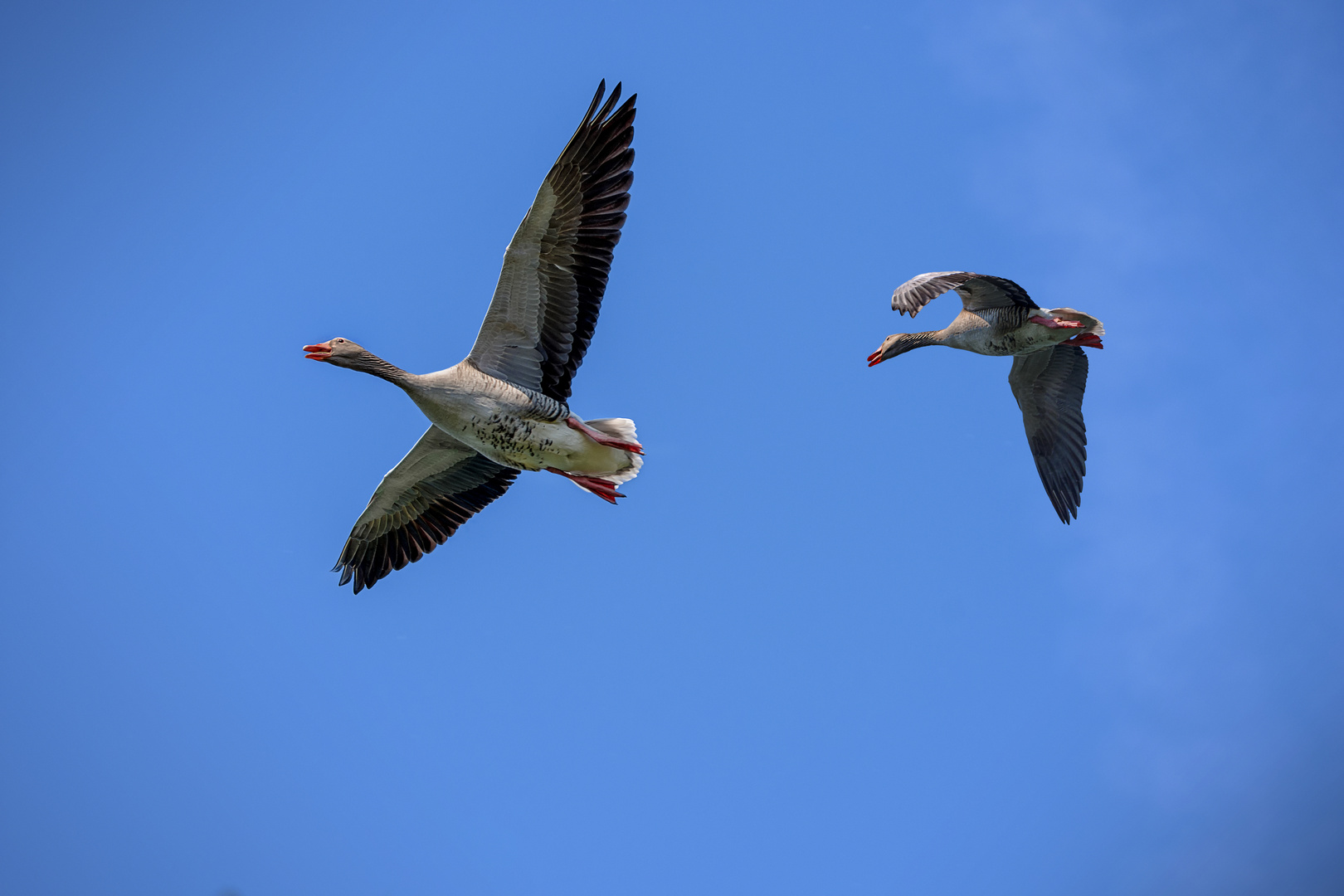 Ich fliege..... in den Urlaub...