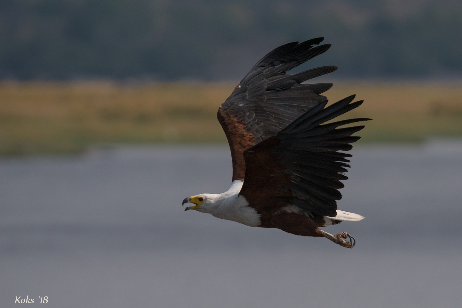 Ich fliege mal weg ...