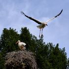 Ich fliege nur schnell Zigaretten holen ...