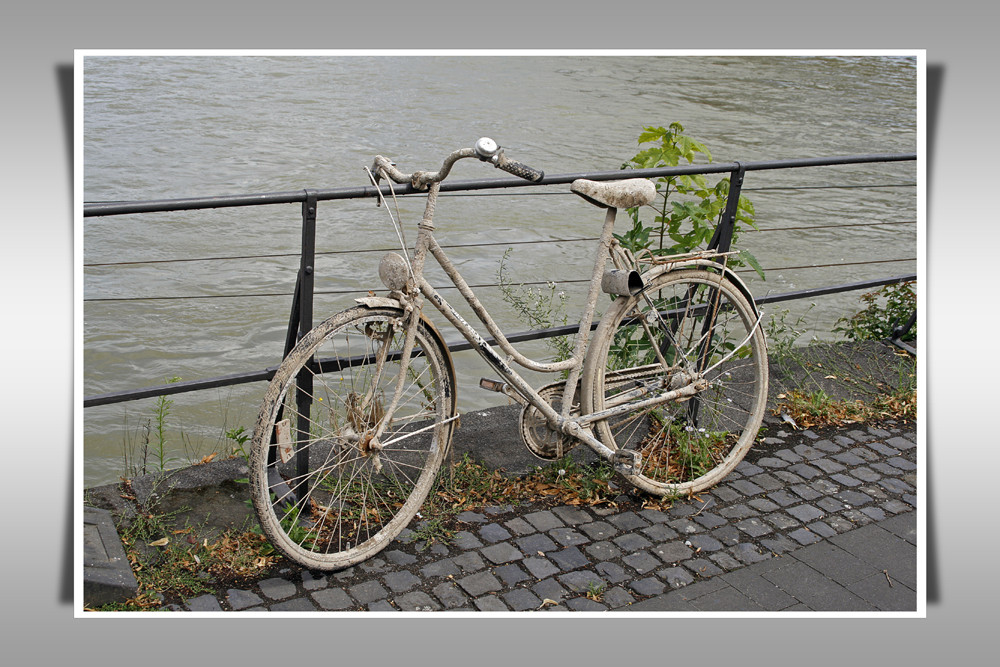 Ich frage mich, warum er nicht die Brücke genommen hat?