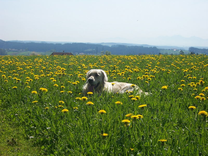 Ich freu mich auf den Sommer !