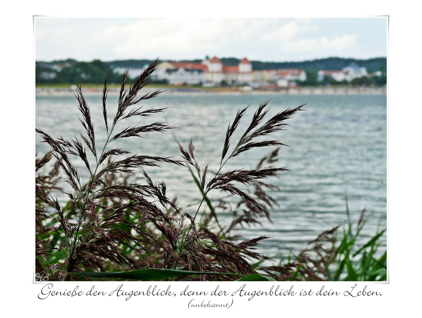 Ich freu` mich auf Rügen III