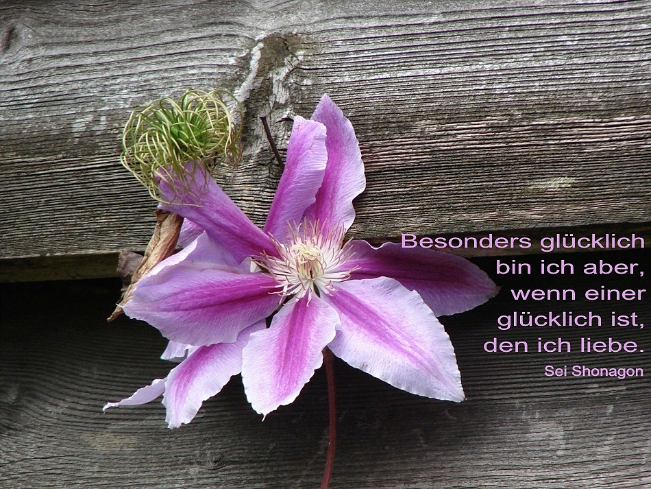 Ich freue mich... Foto & Bild karten und kalender, karten 2009