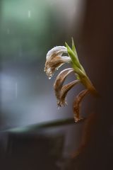 ... ich freue mich ...