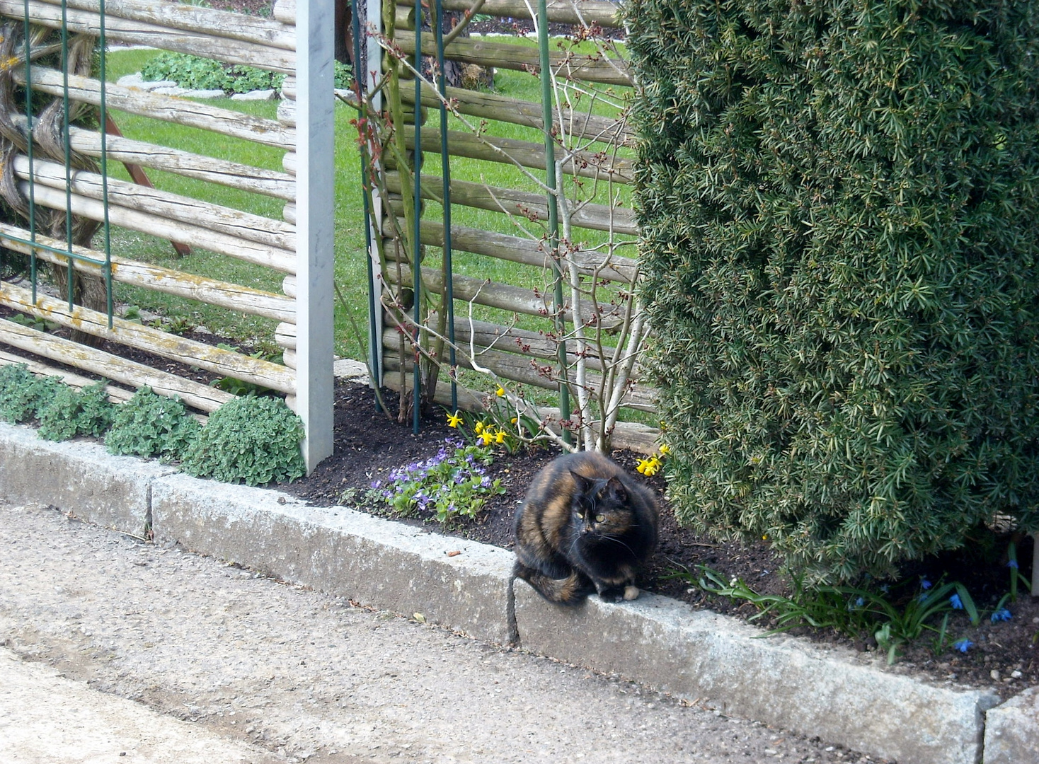 Ich freue mich auf den Frühling!