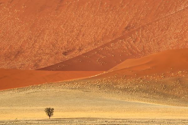 Ich freue mich auf Sossus Vlei - Looking forward to Sossus Vlei