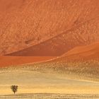 Ich freue mich auf Sossus Vlei - Looking forward to Sossus Vlei