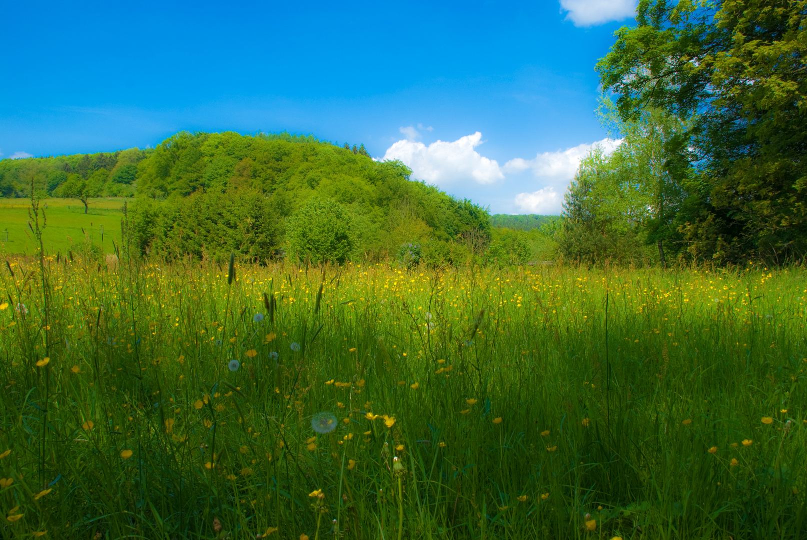 Ich freue mich schon auf den Frühling