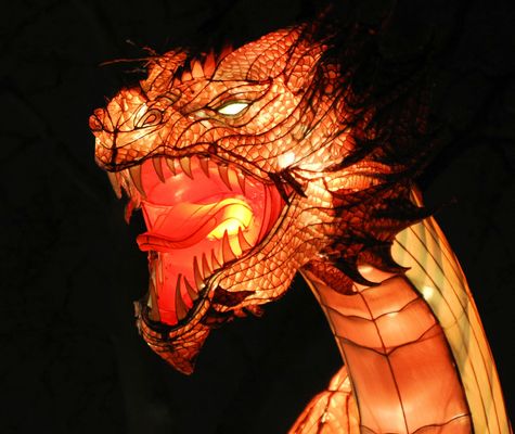 Ich freue mich schon auf die China Lights …