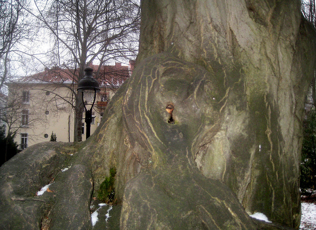 Ich fühlte mich irgendwie beobachtet im Lessingpark Graz