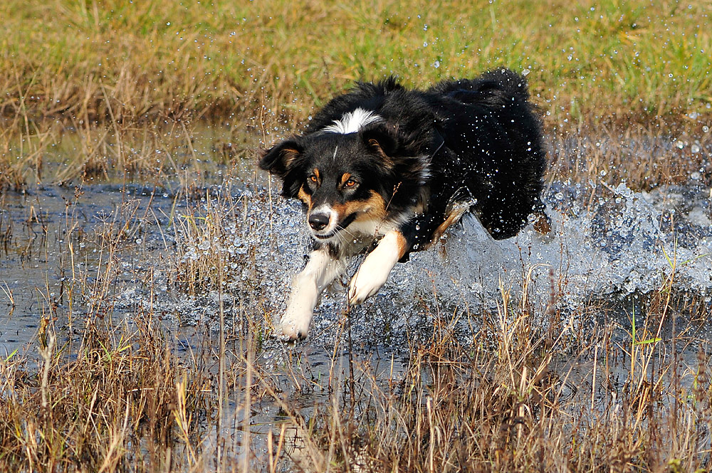 Ich geh auch im November ins Wasser...