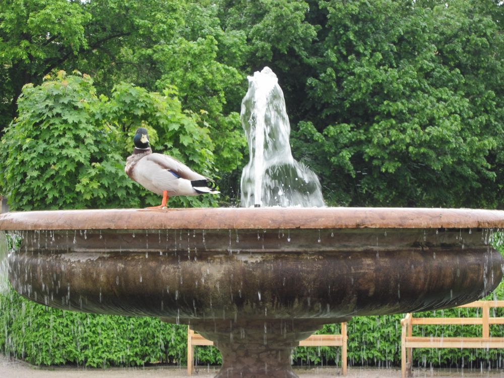 ich geh baden