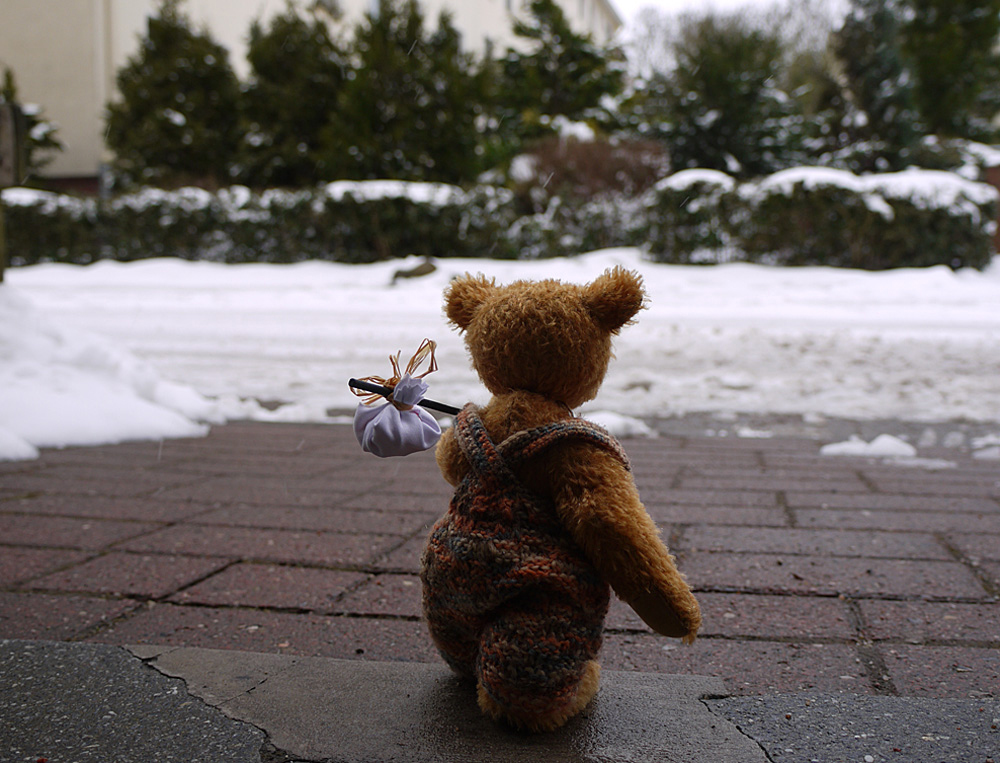 Ich geh dann mal den Frühling suchen Foto & Bild stillleben, teddys
