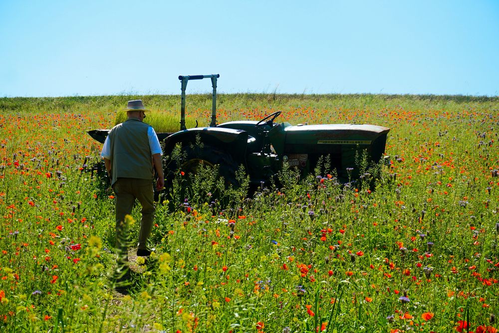 Ich geh dann mal &rsquo;ne Runde Traktor fahren ;-))) Foto & Bild