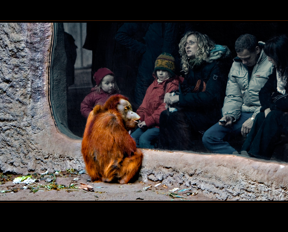 ... ich geh gern in den Zoo ... weil