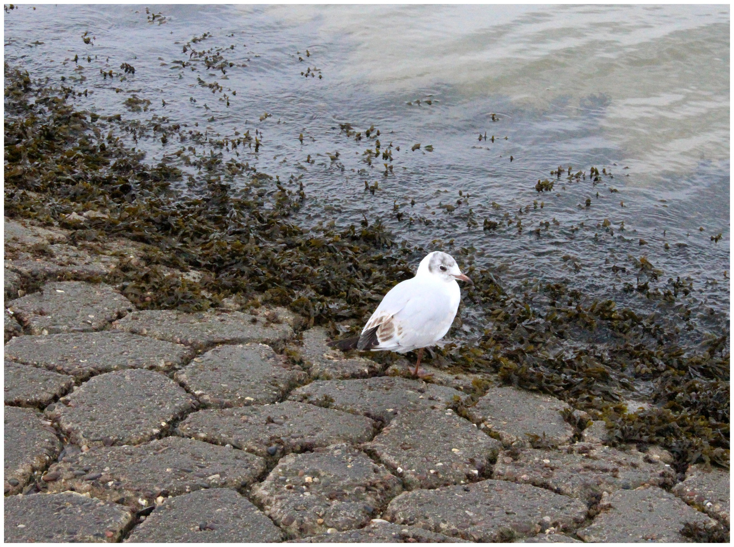 Ich geh ins Wasser