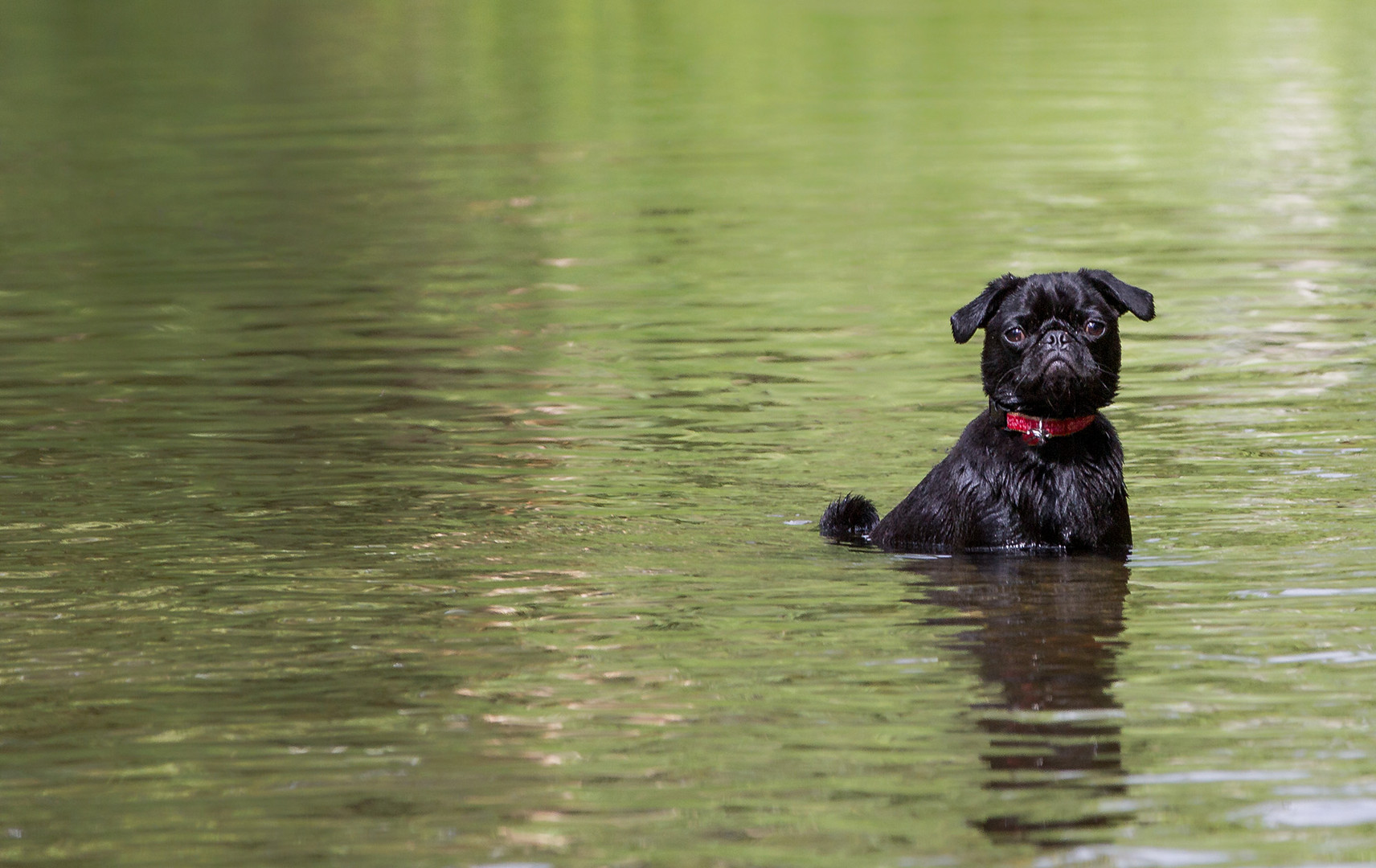 Ich geh nicht weiter .... Wasser mag ich nicht!