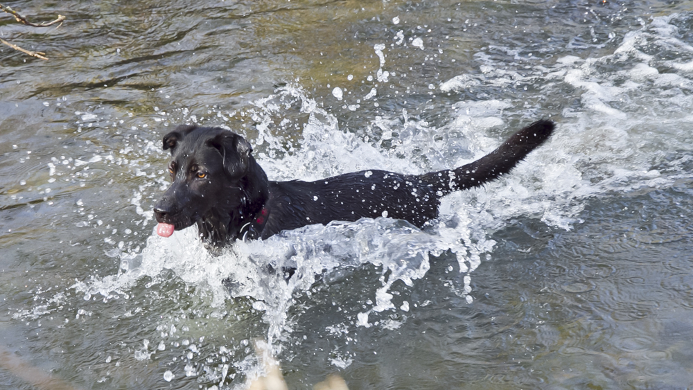 Ich geh schon Baden...