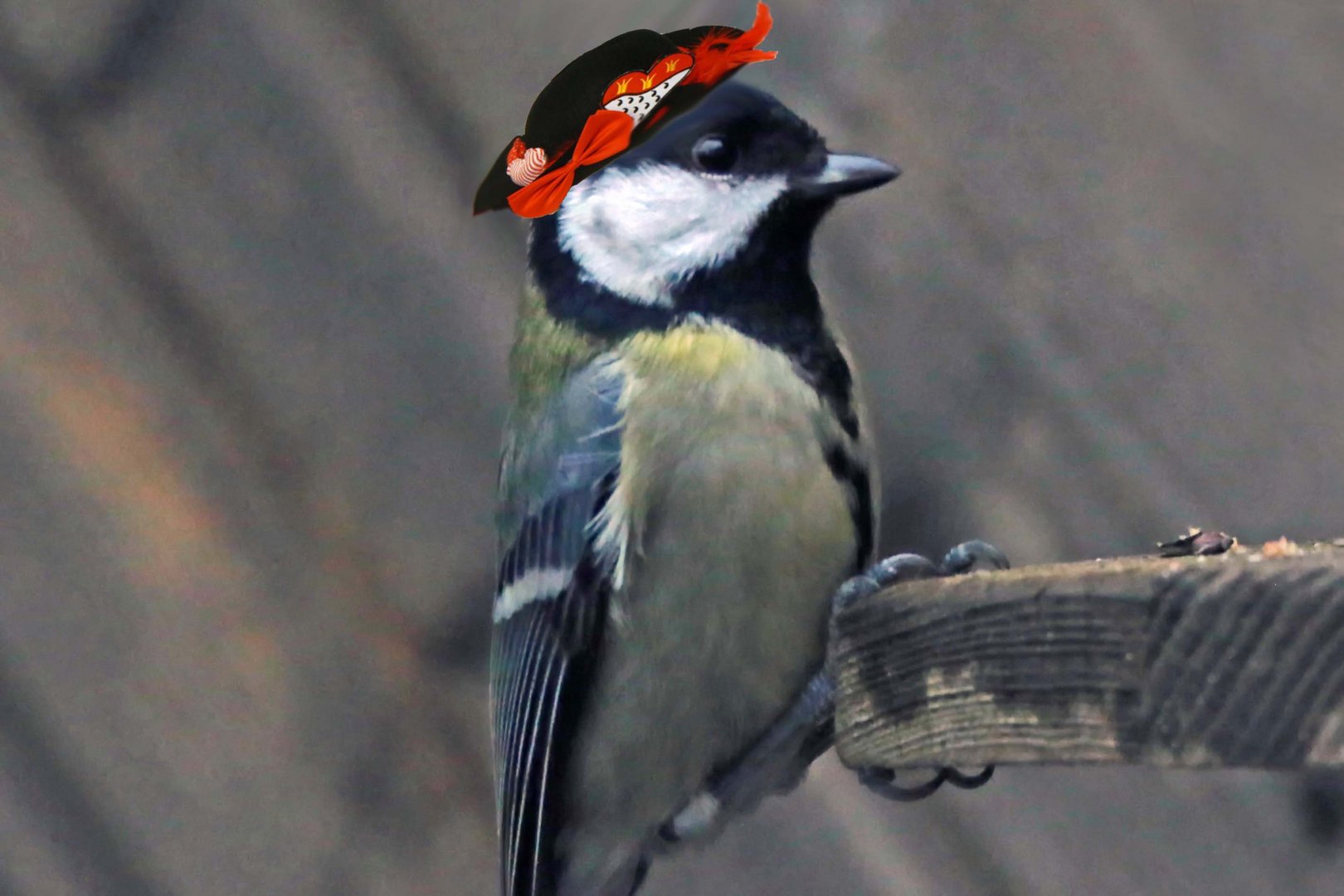 ich gehe Weiberfastnacht feiern