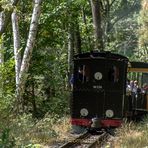 ICH GING IM (BERLINER) WALDE SO FÜR MICH HIN,