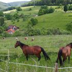 Ich glaub', da kommt Besuch