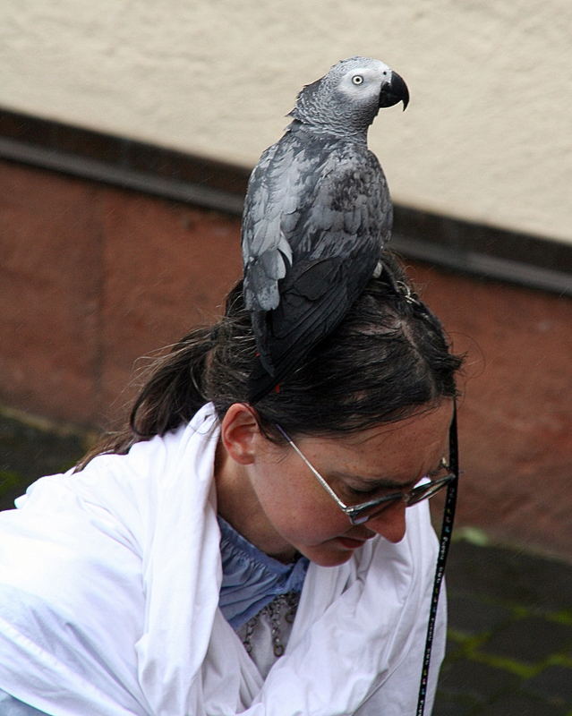 ich glaub' die hat einen Vogel..