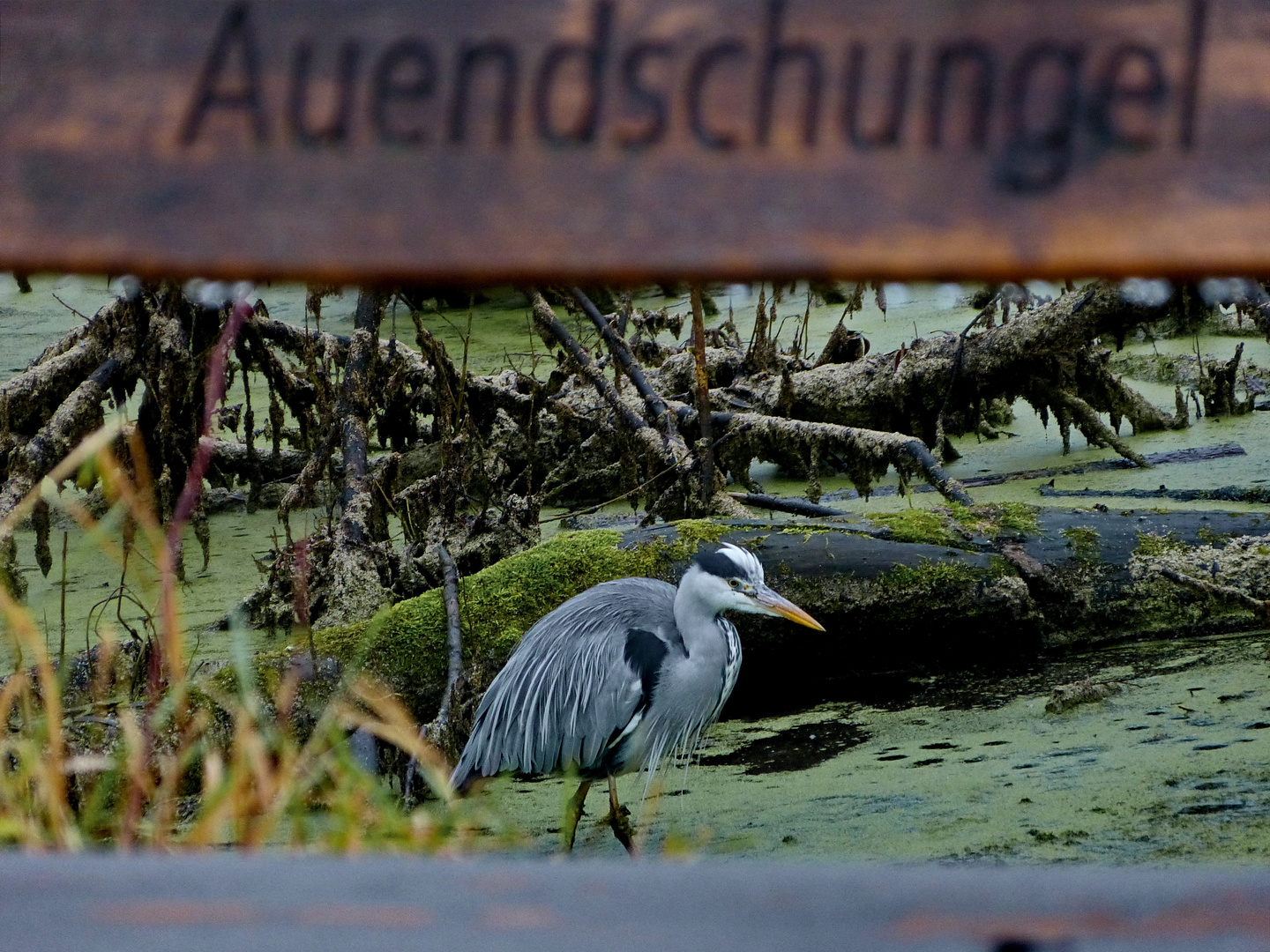 Ich glaub hier bin ich richtig