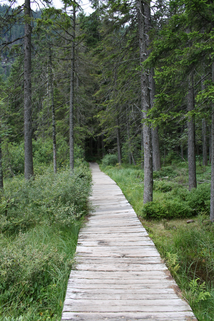 ich glaub ich bin aufm holzweg...