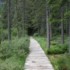 ich glaub ich bin aufm holzweg...