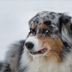 Ich glaub, ich hab 'nen Eiswürfel verschluckt!