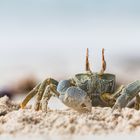 ___ich glaub, ich hab sand im Auge__