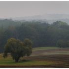 Ich glaub, ich steh im Nebel 