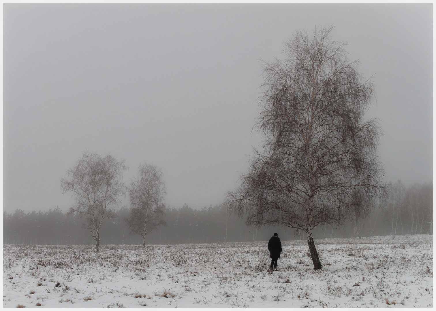 Ich glaub, ich steh im Nebel...