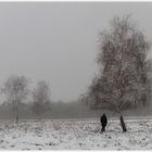 Ich glaub, ich steh im Nebel...