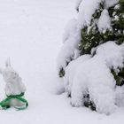 "Ich glaub', ich steh' im Wald..."