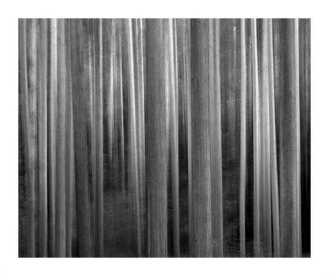 Ich glaub' ich steh' im Wald