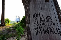 Ich glaub Ich "steh" im Wald