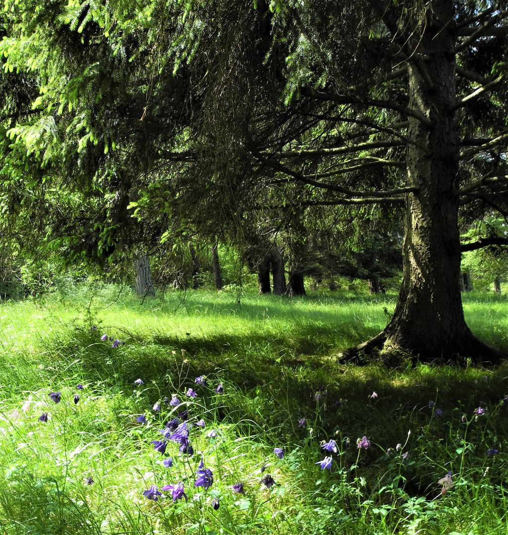 Ich glaub ich steh im Wald...