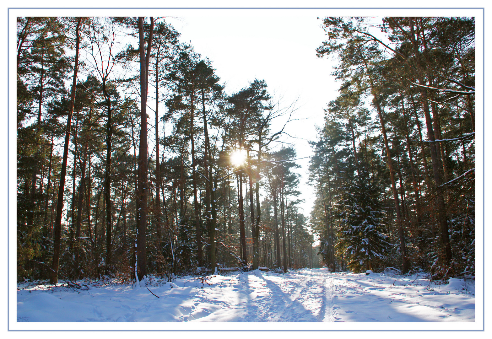 Ich glaub, ich steh im Wald....