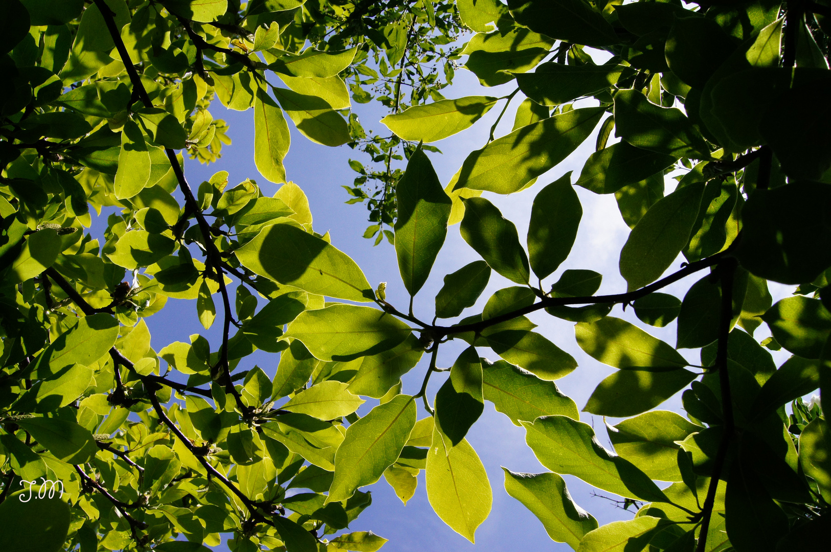 Ich glaub ich stehe im Wald ;-)